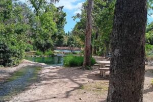 Aero Travel & Services Inc