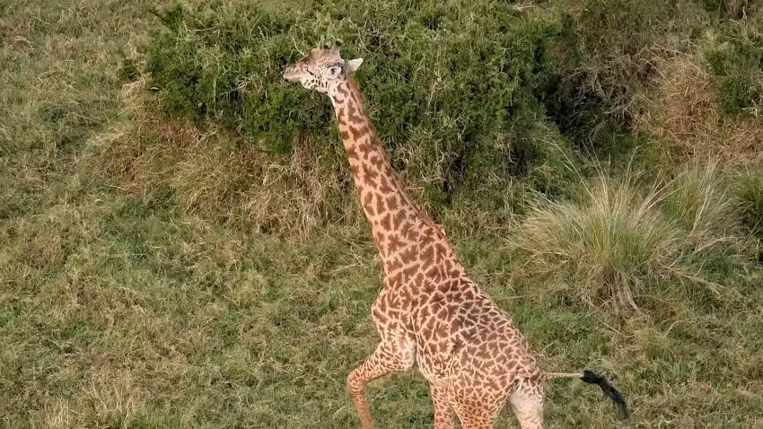 Africa Adventure Consultants