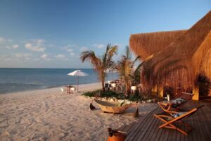 African Safari Company