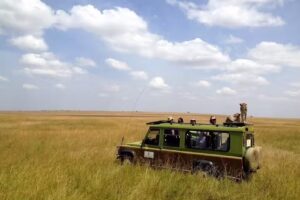 African Safari Consultants