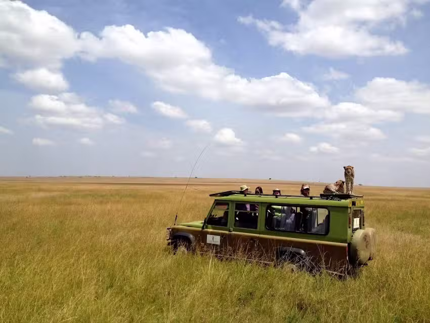 African Safari Consultants