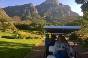 African Safaris and Travel