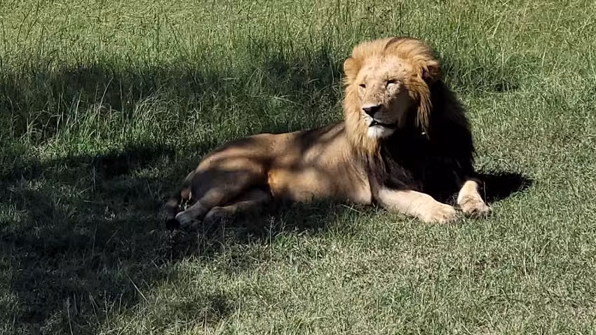 African Touch Adventures LLC