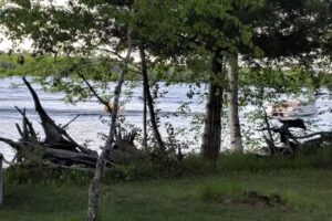 Agent Advantage Travel