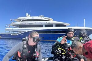 Aggressor Adventures Llc