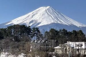 Air & Sea Travel Center, INC