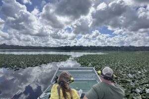 Airboat and Gator Charters