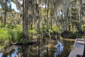 Airboat Tours By Arthur