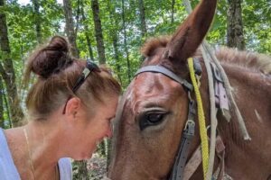 Alabama Horseback Adventures