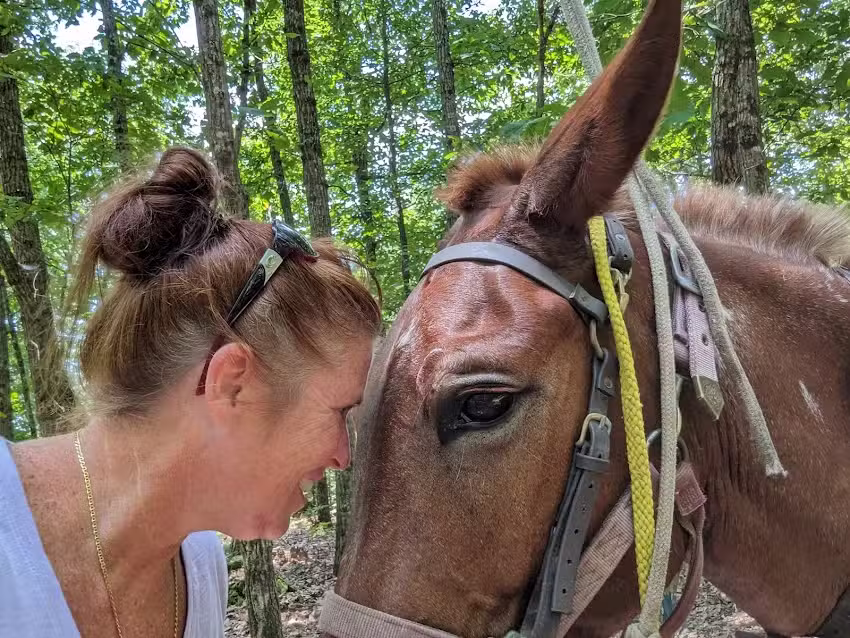Alabama Horseback Adventures