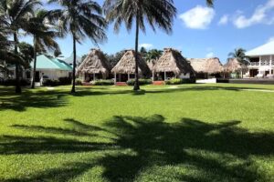 Alacrity Travel & Lifestyle