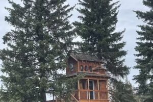 Alaska Adventure Properties