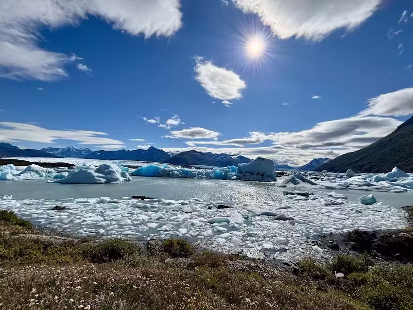 Alaska Backcountry Adventure Tours | ATV Tours | Snowmobile Tours