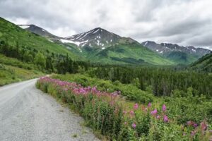 Alaska Backcountry Cottages