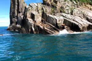 Alaska Coastal Explorer