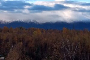Alaska Creekside Cabins