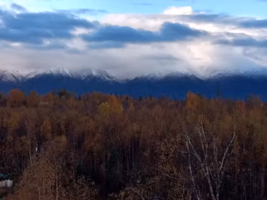 Alaska Creekside Cabins