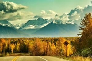 Alaska Edge Wilderness Tours