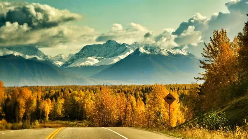 Alaska Edge Wilderness Tours