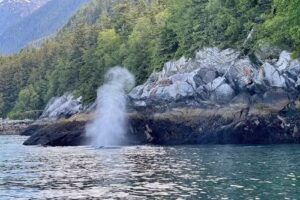 Alaska Fjordlines, Fjord Express to Juneau