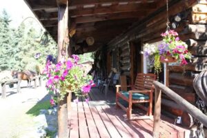 Alaska Horsemen Trail Advntrs