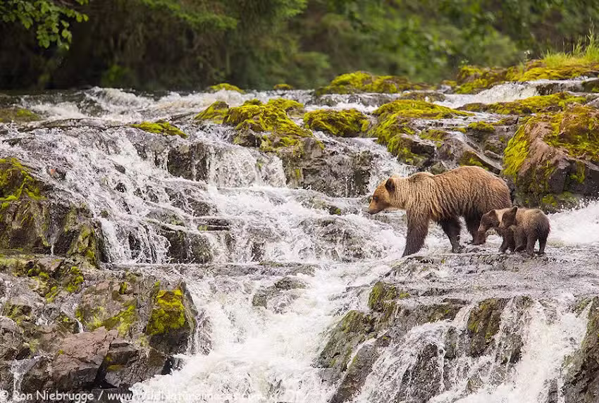 Alaska Photo Tours