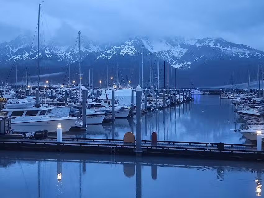 Alaska Saltwater Tours