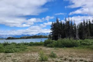 Alaska Travel Adventures Inc