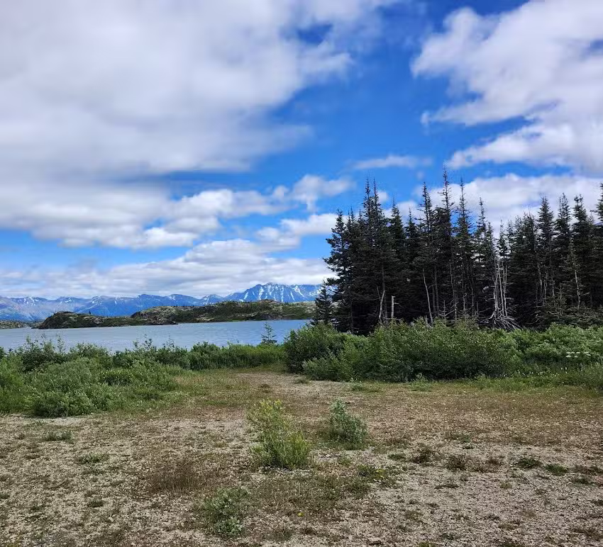 Alaska Travel Adventures Inc