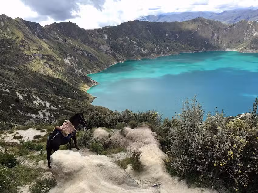 Alchemy Experience Curation