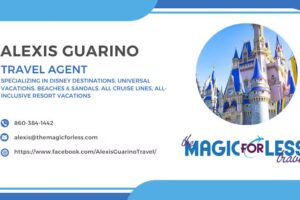 Alexis – The Magic for Less Travel
