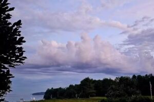 Alice’s Awesome Adventures