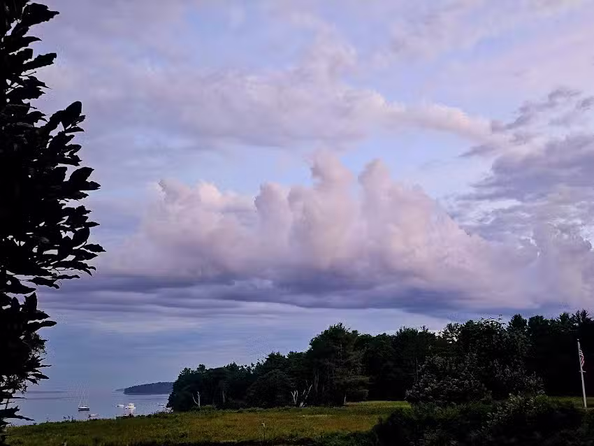 Alice’s Awesome Adventures