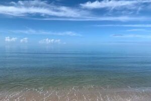 All About Travel by Kim