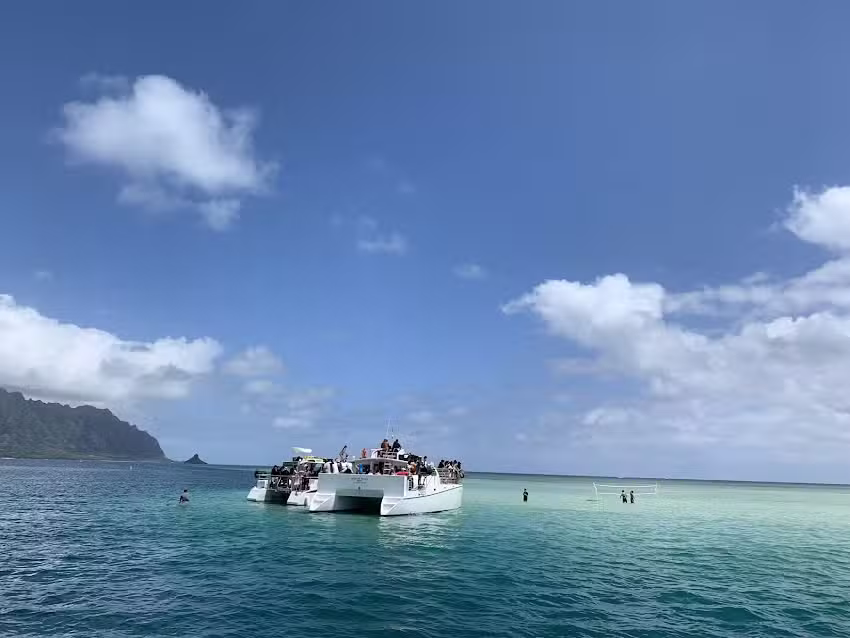 All Hawaii Cruises, Inc.