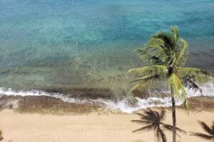 All Seasons Vacations LLC