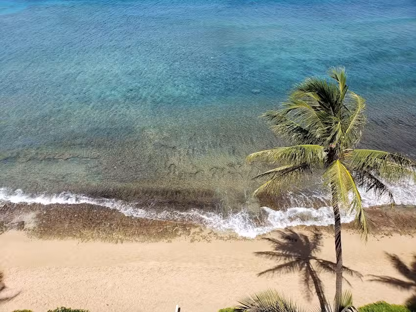 All Seasons Vacations LLC