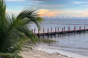 All Smiles Travel Agency