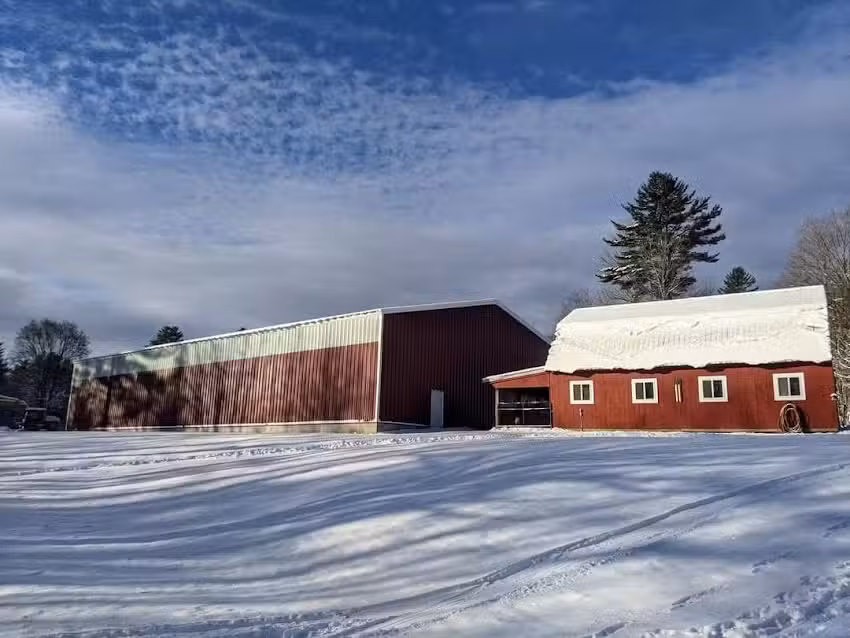 All The Class Equestrian