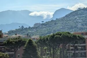 All Things Travel, LLC