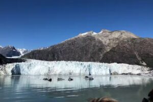 All World Travel, Inc.