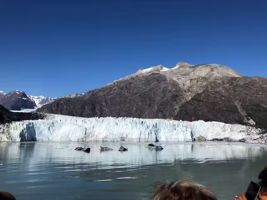 All World Travel, Inc.