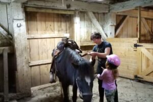 Allegany Mountain Farm,LLC