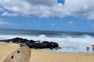 Aloha Circle Island Tours