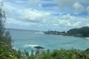 Aloha Hawaii Tours