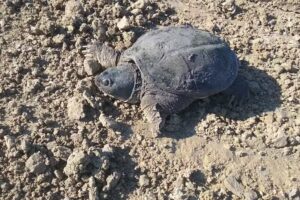 Alpha Travel Associates