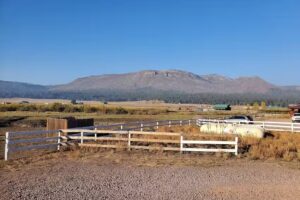 Alpine Buckboard Cabins