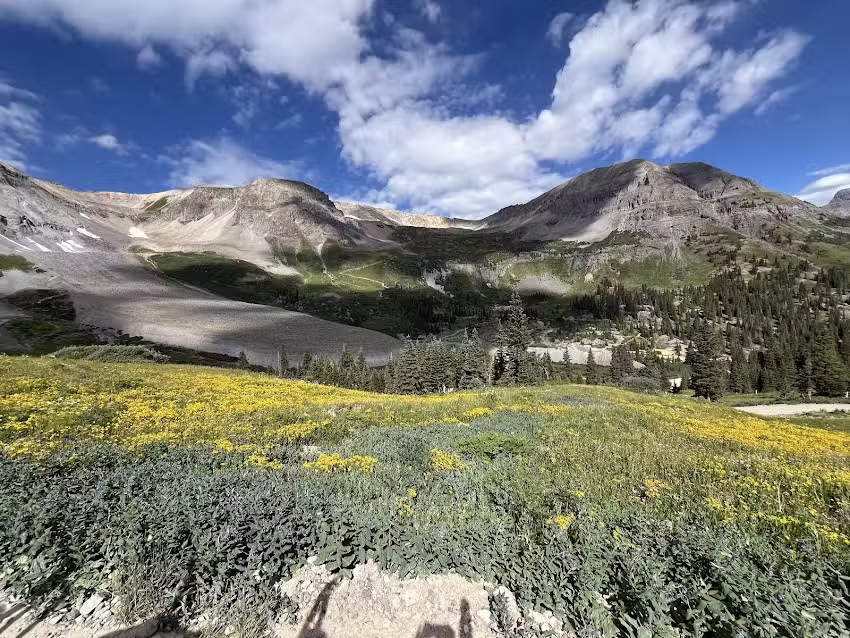 Alpine Scenic 4×4 Tours