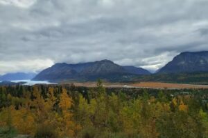 알래스카 한인관광(AK Travel & Tour/Alaska Korean Tour)