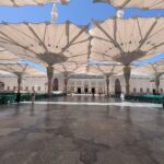 Amax Travel Services